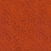 NEBRASKA THERMO Рыжевато-коричневый (A219)