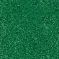 NEBRASKA THERMO Ярко-зеленый (A224)
