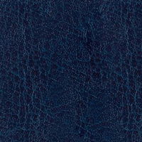 NEBRASKA THERMO Темно-синий (B236)