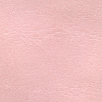 NEBRASKA THERMO Светло-розовый (D144)