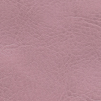 NEBRASKA THERMO Темно-розовый (D145)