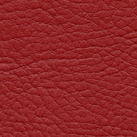 PRESTIGE 4746 (Ярко-красный).