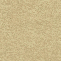 SVEPA Skin.