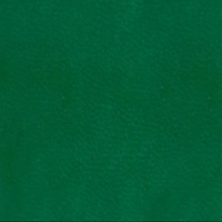 Vivella Ярко-зеленый (4747)