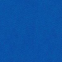 Vivella Ярко-синий (В915)