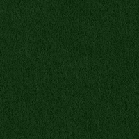 COLORPLAN (FOREST / Зелёный).