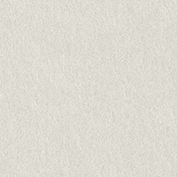COLORPLAN (PALE GREY / Светло-серый).