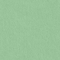 COLORPLAN (PARK GREEN / Светло-зелёный).