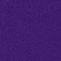 COLORPLAN (PURPLE / Фиолетовый).