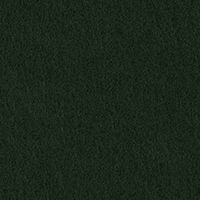 COLORPLAN (RACING GREEN / Лавровый).