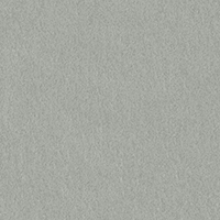 COLORPLAN (REAL GREY / Серый).